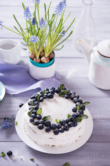 A beautiful and tasty cake with white cream and fresh blueberries decorated with mint leaves. Sweet tasty cheesecake, berry pie.
