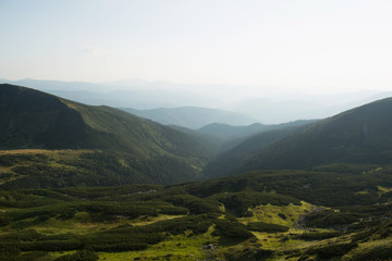 Naklejka premium The beautiful landscape of the green European mountains - the Carpathians