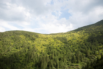 landscape with green mountains and forest and blue sky