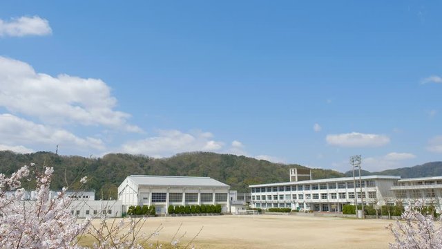 動画素材：学校と桜の花　春イメージ　入学式　新学期