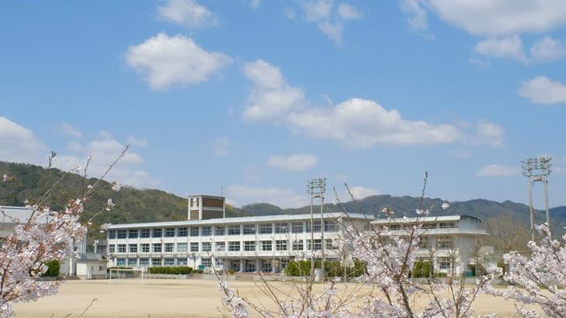 写真素材：学校と桜の花　春イメージ　入学式　新学期