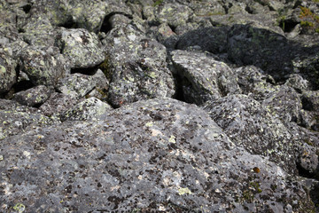 Texture wallpaper, old stone surface in lichens.