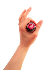 A hand holding a bound Asian tea ball with violet flower, isolated on white background. Ok gesture, perfect sign concept.