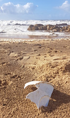 Fototapeta na wymiar Plastic waste washed on the shore of the atlantic ocean