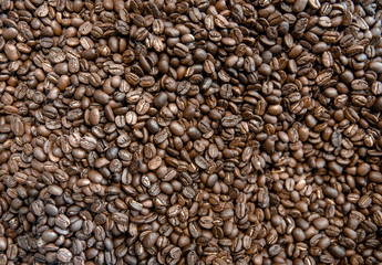 roasted coffee beans for drinks