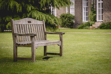 Empty benches in the garden of the Downing College, a constituent college of the University of Cambridge.