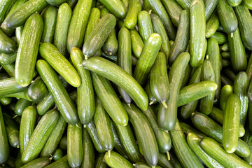 cucumbers at market for background use