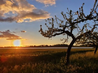 Fototapeta premium Sonnenuntergang