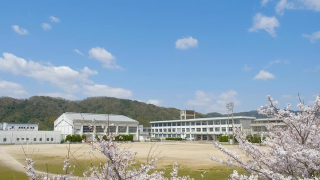 写真素材：学校と桜の花　春イメージ　入学式　新学期