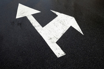 Fototapeta premium Road marking lines. Go straight and turn arrows.