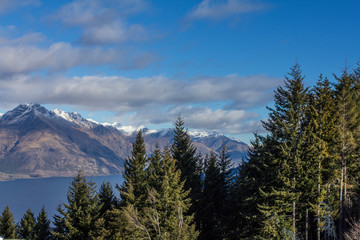 trees and mountains New Zealand