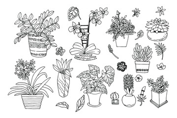 Collection of indoor and office plants in beautiful pots isolated on a white background. Vector illustration of doodle plants.