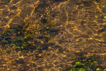 Klares Wasser einer sprudelnden Quelle mit Wasserpflanzen und klarer Bach mit seidigen Wellen für Entspannung und Meditation zeigen schöne Reflexionen auf der Wasseroberfläche mit unberührter Natur