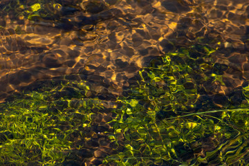 Klares Wasser einer sprudelnden Quelle mit Wasserpflanzen und klarer Bach mit seidigen Wellen für Entspannung und Meditation zeigen schöne Reflexionen auf der Wasseroberfläche mit unberührter Natur