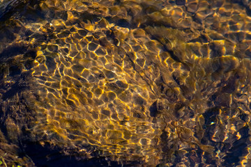 Klares Wasser einer sprudelnden Quelle mit sauberem Wasser und klarer Bach mit seidigen Wellen für Entspannung und Meditation zeigen schöne Reflexionen auf der Wasseroberfläche mit unberührter Natur