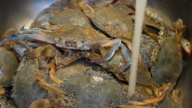 chef preparing crabs for cooking