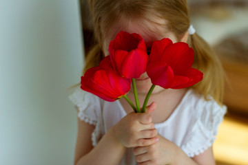
little girl in a white dress covered her face with a bouquet of red tulips