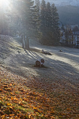 Automne à Villard de Lans et arrivée des premières gelées