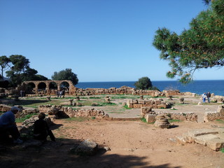 Fototapeta na wymiar Tipaza park in Algeria, Roman Historic Site