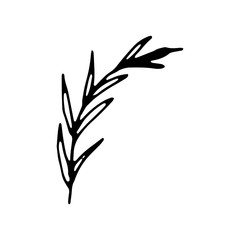 tree branches, eucalyptus, palm leaves, herbs and flowers silhouettes.Hand drawn vector frame. Floral wreath with leaves for wedding and holiday. Decorative elements for design. Isolated. doodles