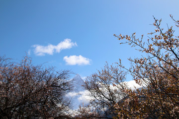Through the mountains and wild pink peach blossoms, looking at Nanjiabawa Peak, against the blue sky, white clouds, and green water, it is even more steep and majestic!