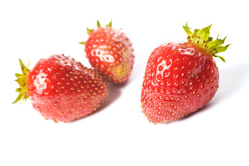 Three fresh ripe red strawberries, isolated on white with soft shadow. Studio shot