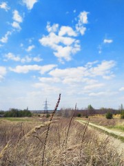 Fototapeta na wymiar rural landscape with fence