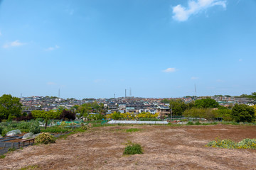 【神奈川県 横浜市】花桃の丘