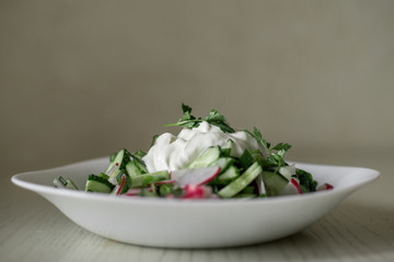 cucumber, radish, onion and sour cream salad