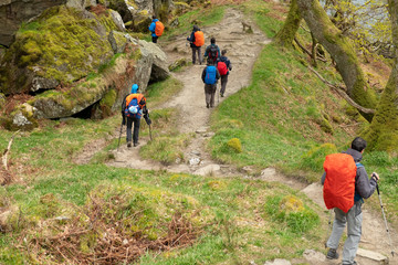 Grupo de senderistas realizando la West Highland Way entre Inversnaid e Inverarnan.