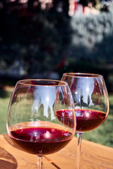 Two Glasses of Fresh Red Wine for Celebration