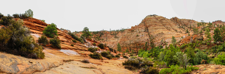 Landscape of Zion National Park, USA, with red rocks, Panorama
