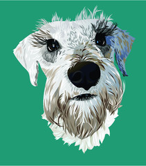 Vector portrait of a cute, funny doggie