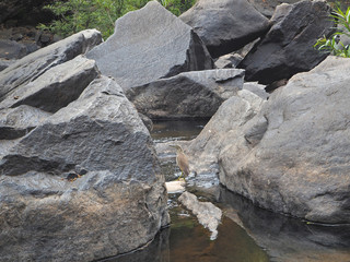 Granite stones on the river at the bottom of the waterfall and a bird stands between them