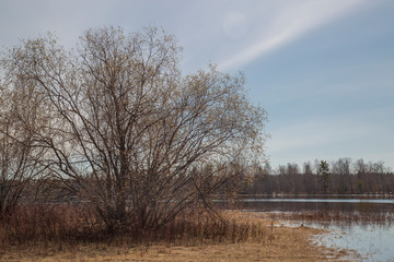 Spring on the lake. Spill in the spring. The trees in the water.