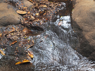 Pure spring water flows along the stone slope. a small mountain stream. Wet shiny stones close-up. Clear water flows over boulders