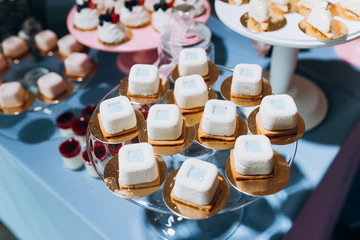 Candy Bar. Delicious sweet buffet with cupcakes. Sweet holiday buffet with cupcakes