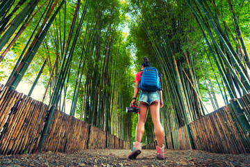 Obraz premium Young Woman posing in Bamboo Forest in Kyoto, Japan. Young Woman with backpack in bamboo jungle. Active lifestyle and Travel concept