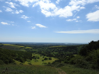 Panoramic view of meadow fields, forests and more