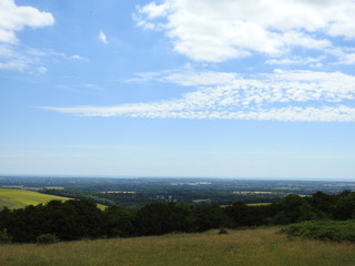 Panoramic view of meadow fields, forests and more