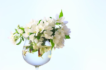 abstract apple tree flowers background, spring blurred background, branches with bloom