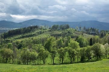 Beskid mountains, Western Carpathians, Czech Republic / Czechia, Europe - landscape with hills. European nature in the spring