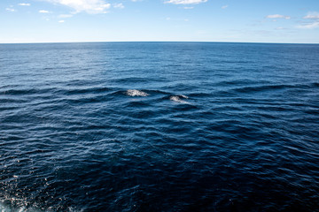 Obraz premium sea and sky