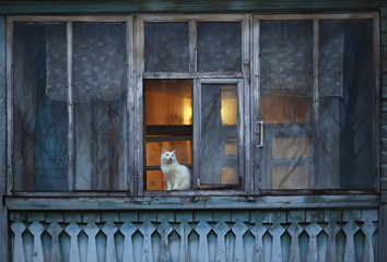 window cat in old wooden house. vintage architecture