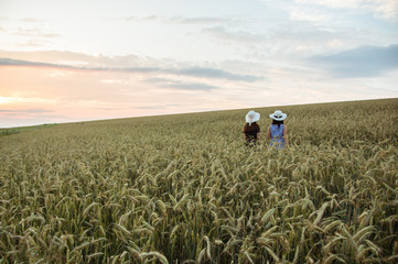 Girl / Friends / Team / Girl / Together / Dress / Sleeve / Flowers / Basket / Hat / Poppy / Chamomile / Wheat / Field / Landscape / Painting