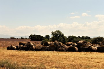 meule de foin © benibeny