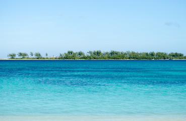 tropical beach with turquoise water