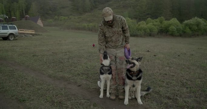 Two shepherd dogs are sitting next to a man in camouflage uniform.