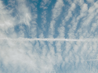 Fototapeta premium The blue sky is covered by the Cirrocumulus cloud.