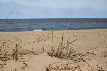 sand dunes on the beach
